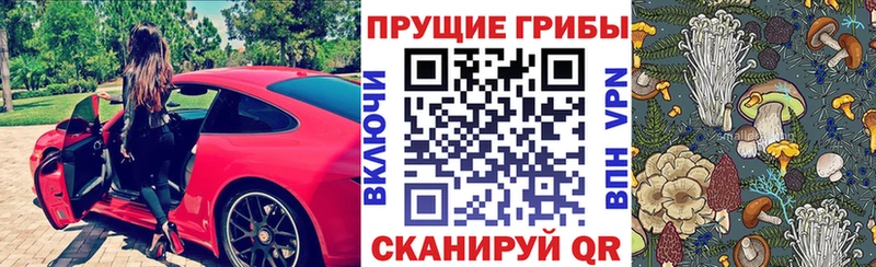 Купить закладки  Жирновск  Галлюциногенные грибы Psilocybine cubensis 